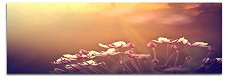 Augenblicke Wandbilder Keilrahmenbild Wandbild 150x50cm Blumen Blüten Sonnenstrahlen Vintage
