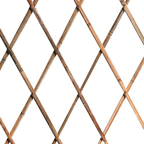 GDLC Traliccio Estensibile in Legno Bamboo Dimensioni 90x240 Cm.