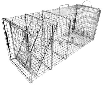 Tomahawk Live Trap - Model 609 - Original Series Rigid Live Trap with one Trap Door and Easy Release Door - 36x12x14 Extra Large for Raccoon, Woodchuck, Feral Cat Sized Animals