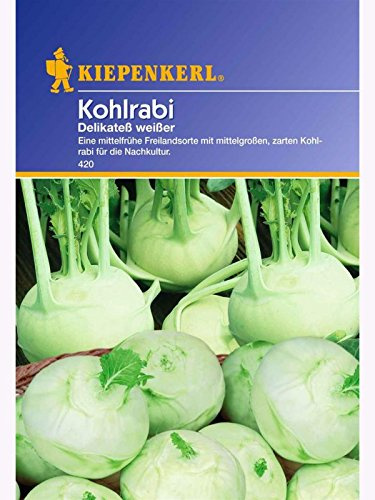 Kohlrabi Delikatess weisser