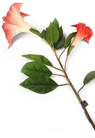 Floral Elegance Lot de 12 Fleurs artificielles en Forme de Trompette d'ange Rose 108 cm