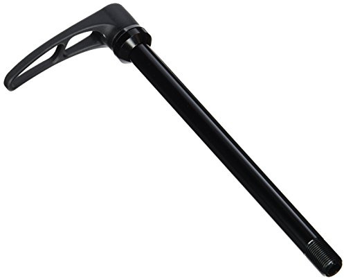 DT Swiss Schnellspanner Glühstrumpf-2160061000, schwarz, 14x14x2cm, HWQASM00S2955S