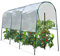 ProBache - Serra per pomodori, 4 m