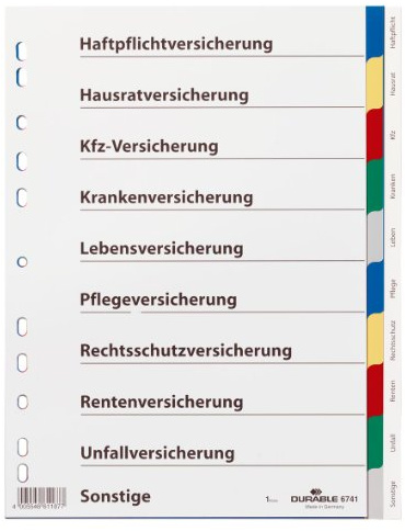 Durable Blanko-Register aus PP, 10-teilig, Universallochung, 25 Stück, farbiger Verlauf, grau, 674127
