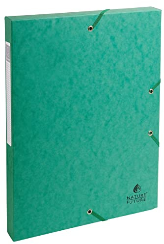 Exacompta 50303E - Carpeta de proyecto con goma, color verde