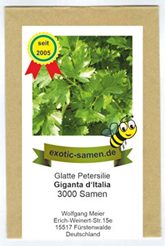Glatte Riesen Petersilie - Bienenweide - Italian Giant - Giganta d' Italia - 3000 Samen