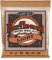 Ernie Ball Earthwood Light Phosphor Bronze, Corde per chitarra acustica, diametro 11-52