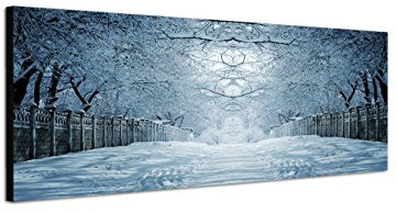 Augenblicke Wandbilder Keilrahmenbild Wandbild 150x50cm Winterlandschaft Bäume Weg Baumtunnel Schnee