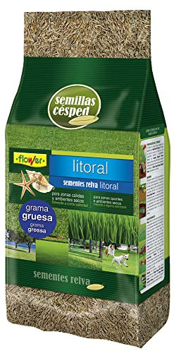 Flower - Semillas Césped Litoral Grama Gruesa | Resistente Zonas Cálidas y Secas | Tolerante Salinidad | Cubre Hasta 35 m2 | Compo Tierra Universal, 20.4x7.5x31 cm, Semilla