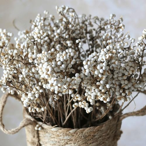 220g Tallow Berries Dried Christmas Decor- 17 Natural Stem Wedding Floral Decor, White Holly Tallow Berries, 2 Bundles Dried Flower Billy Balls, Button Plant, Willow Branches, Wreath DIY Handicraft