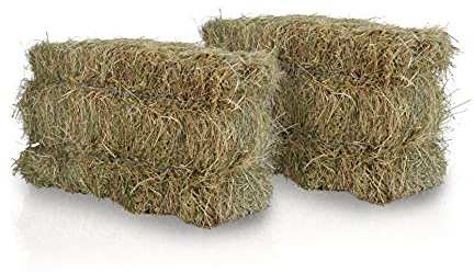 heukoenig.de - Heuballen - aus Wiesenheu - für Kaninchen, Meerschweinchen, Pferde - aus Deutscher Ernte (2 Ballen)