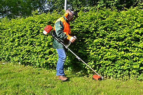 HECHT Benzin Freischneider Motorsense mit 2-Takt-Motor mit 2 PS – 43 cm und 25,5 cm Schnittkreis – inklusive Doppel Faden Spule und Metallmesser, Komfort-Tragegurt, Lenkradgriff – Antivibrationsgriff