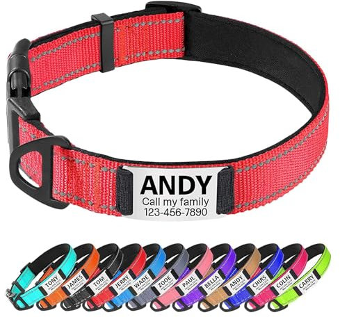 TagME Hundehalsband personalisiert, Reflektierendes gepolstertes Nylon Hundehalsband für mittelgroße Hunde mit Namen und Telefonnummer