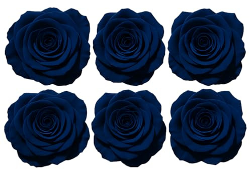 LA ROSEE ETERNELLE Pack de 6 Rosas Preservadas Sapphire – Flores Azul Oscuro para Decoración DIY, Eventos Elegantes, Bodas Nocturnas y Proyectos Florales Creativos