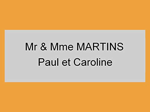 plaque ou etiquette boite aux lettres 2 lignes - argent 100x40mm