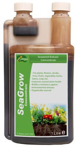 Hydra SeaGrow Plant Food - Organic Seaweed Extract Concentrate Plant Fertilizer | All Purpose Plant Feed for Indoor and Outdoor House Plants | 1L makes upto 300 Litre