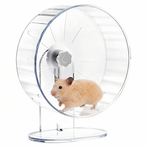 QWORK® Ruota per Criceti Silenziosa, 22 cm - Antiscivolo con Supporto Regolabile per Criceti, Topi, Gerbilli e Roditori - in Acrilico Trasparente
