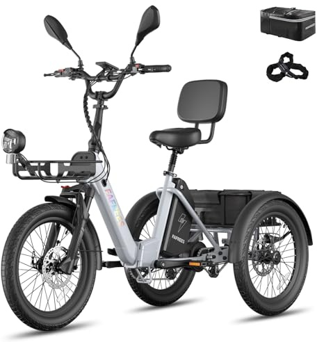 Fafrees F20 Mate II E Bike Dreirad für Erwachsene 48V Zulassung Herren E Bike Damen, Elektrofahrrad 3 Rädern 65N.m, Elektro Dreirad 20 Zoll, Fahrrad Fatbike 180kg