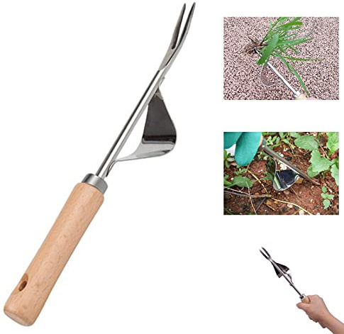 Maotrade Unkrautstecher Manueller Unkrautjäter Edelstahl Garten Hand Weeder Unkrautabzieher Handjäter Gartenjäter Wurzeljäter mit Holzgriff zum Jäten Ausstechen von Unkrauts Samt Wurzel