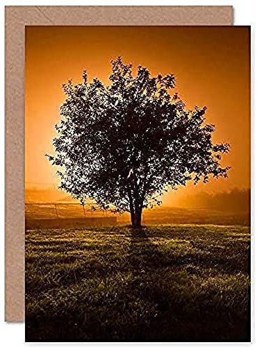Fine Art Prints Lone Tree Sunset Photo Greeting Card With Envelope Inside Premium Quality