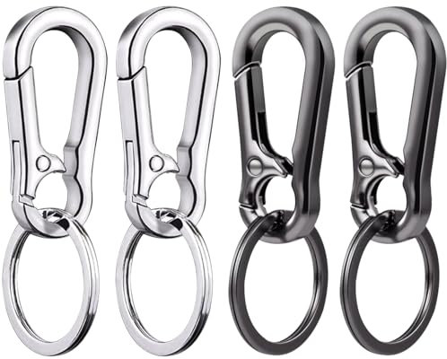 Redamancy 4 Pcs Abnehmbare Karabinerhaken, Carabiner Schlüsselanhänger, Karabiner Schlüsselanhänger, Karabinerhaken Klein Schlüsselanhänger, Schlüsselringe mit Karabiner für Herren und Damen
