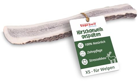 Supravit Gespaltenes Hirschgeweih für Hunde XS – Klein | Rothirsch-Geweih | | Natürlicher Kauknochen für Langanhaltende Beschäftigung | Spannendes Kauspielzeug | Nachhaltige Zahnpflege | XS – Klein