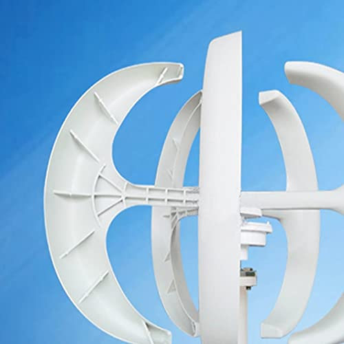 Aerogenerador Eolico Generador de turbina de viento de eje vertical pequeño de 5000W 5KW 12V 24V 48V con molino de viento de bajo ruido MPPT for de viento de granja en casa(White with Control,24V)