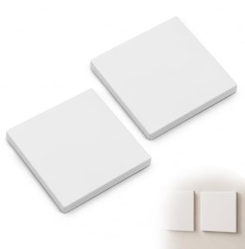 Zolara 2 cubiertas ciegas empotradas, 86 x 86 mm, plástico blanco, tapa ciega, tapa para interruptor de luz, pegar o atornillar, adecuado para interruptores no utilizados