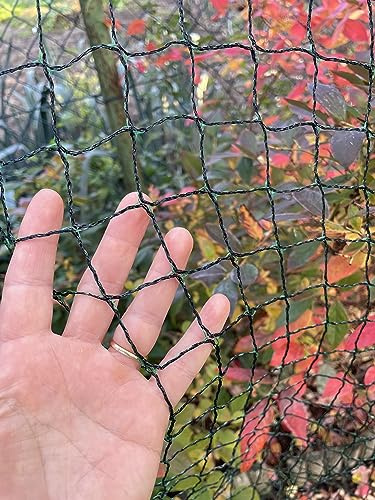 F & R Vogelschutznetz für Garten, Engmaschiges Schutznetz, Maschengröße 20 x 20 mm, Gartennetz gegen Vögel, Laub & Schmutz, Teichnetz, Laubschutznetz, Netz für Teich, Obst & Gemüse, 6 x 10 m (60 m²)