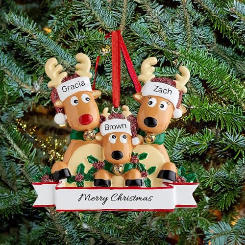 Ornamento Personalizzato per Albero di Natale dei Cervi Famiglia di 2,3,4,5,6,7,8 Nome Carino Babbo Natale Renna 2025 Decorazione Natalizia Regalo di Natale, Famiglia di 3