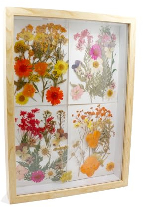 CiciIng 3D-bildram för fyllning, A4-träbilder ram med transparent akrylplatta, objektram djup för foto blommor minnessaker gör-det-själv konstverk (träfärg)