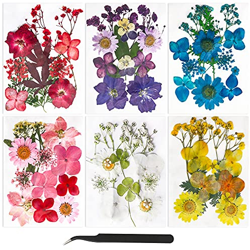 74Pcs Fleurs Sechees Naturelles Vraies Fleurs Pressées Séchées Ensemble de Fleurs Séchées Pressées Naturelles Bricolage Mélange Fleurs Séchées Resine Epoxy Fleur Sechees Naturel pour Résine