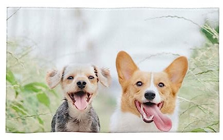 PEIXEN Lustige Hunde-Handtücher, weiche Gesichtstücher, sehr saugfähig, Waschlappen für Badezimmer und Gästezimmer, 69,8 x 40,6 cm