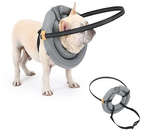 MeiAOBest Blind Dog Halo Guiding Device,Pet Anti-Collision Ring Protective Collar,Comfortable Lightweight Blind Dog Safe Accessories_M