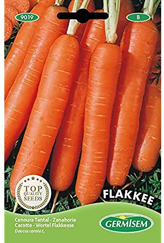 Germisem Flakkee Semi di Carota 10 g