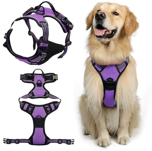 DKDDSSS Hundegeschirr, Geschirr Hund Groß, Anti Zug Hundegeschirr, Geschirr für Hunde, Brustgeschirr für Labrador, Einfache Anpassung und Benutzung, Atmungsaktiv, Lila, L