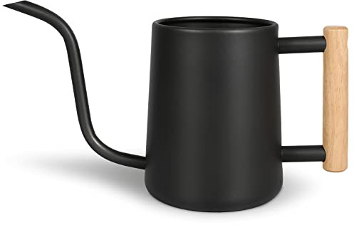 Watering Can for Indoor Plants, 35 oz/1000 ml Metal Stainless Steel Pot with Long Spout for House Plants Bonsai Outdoor Garden Flower Decorative (Black)