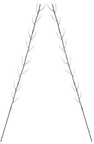 POPETPOP Tuteur pour Plantes Grimpantes en Rotin 100 Cm – Support Décoratif pour Plantes D’intérieur Et Balcon – Lot De 2 Structures De Jardin pour Treillis Grimpant Maintien Organisé des