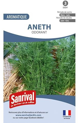 Graines aromatiques d'Aneth