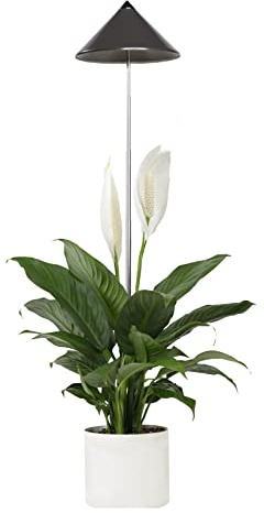 Parus by Venso SUNLiTE 7W LED Vollspektrum Pflanzenlampe Grau, Indoor Plants Pflanzen Beleuchtung, mit ausziehbarem Teleskopstab, Parus Pflanzenlampe für kleine und mittelgroße Zimmerpflanzen