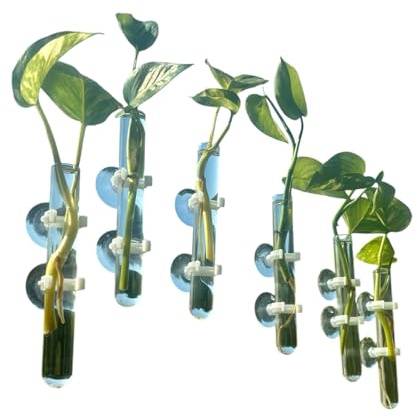 Glass Test Tube Vases with Suction Cups, Great for Propagation, Windows, Hydroponics, Mirror/Bathroom, Car Windshield, Bathroom Decor, Extra Secure Suction Hold, 18mm Wide Tubes, Set of 7