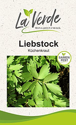 Liebstock Kräutersamen
