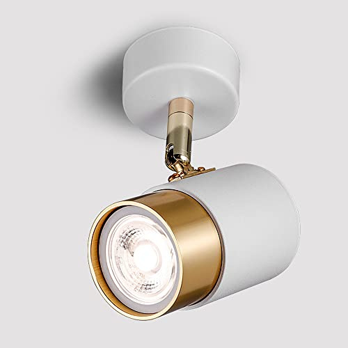 Applique da Parete a LED con faretto Girevole di Lusso Nordic Home Down 12W Montato a soffitto con trasformatore, Angolo del Fascio Luminoso di 24° (Bianco)