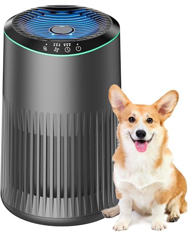 MERONTE Luftreiniger für Schlafzimmer Zuhause, Luftreiniger Allergiker für Schlafzimmer Büro Raucherzimmer, Hepa Filter, Air Purifier, 1 Pack+3 Modi