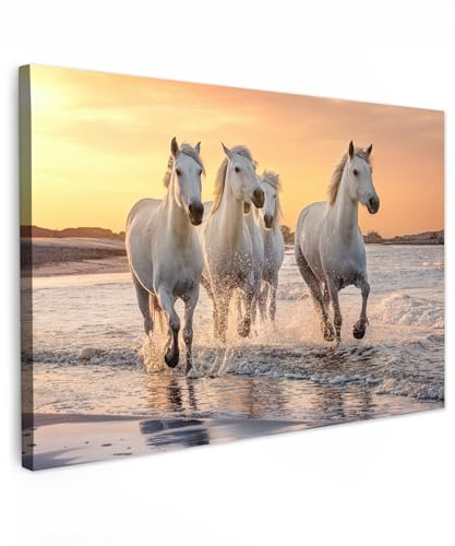 MuchoWow© Leinwand Bilder, Einzigartige Wanddeko mit Rahmen, Pferde | 120x80 cm - Sonne - Meer - Strand - Tiere, Wandbilder Wohnzimmer, Deko Schlafzimmer