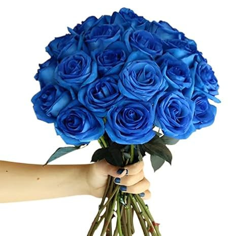 DECOALIVE - Ramo de Rosas - Set 25 Flores Azules - Bouquet de Flores Naturales - Flores Frescas Online