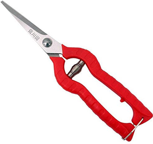 KATUR Forbici Da Potatura Per Rose Da Giardino, Potatori Manuali Professionali Lame Diritte In Acciaio Inossidabile Per Disposizione Di Fiori, Taglio Di Piante (Lunghezza Lama 65 mm)