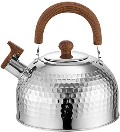 Cabilock Bouilloire En Acier Inoxydable Avec Poignée Pour Cuisine Capacité De 4 L