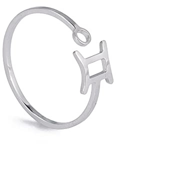Dreamtimes Ariete Lion Vierge Boutons de manchette en acier inoxydable pour femme 12 signes du zodiaque anneau ouvert motif lion vierge balance poisson scorpion cadeau d'anniversaire