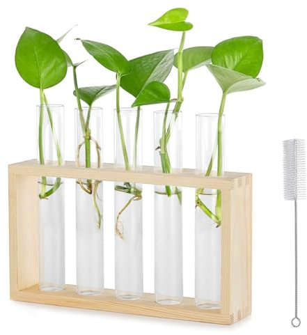 Tarocat Vintage Glas Reagenzgläser, Hydroponik Glasvase mit Holz Halter, Glas Reagenzglas Kleine Vasen, Ständer Holz Propagation Station für Tisch Oder zum Aufhängen (5 Stück, Hölzerne Farben)